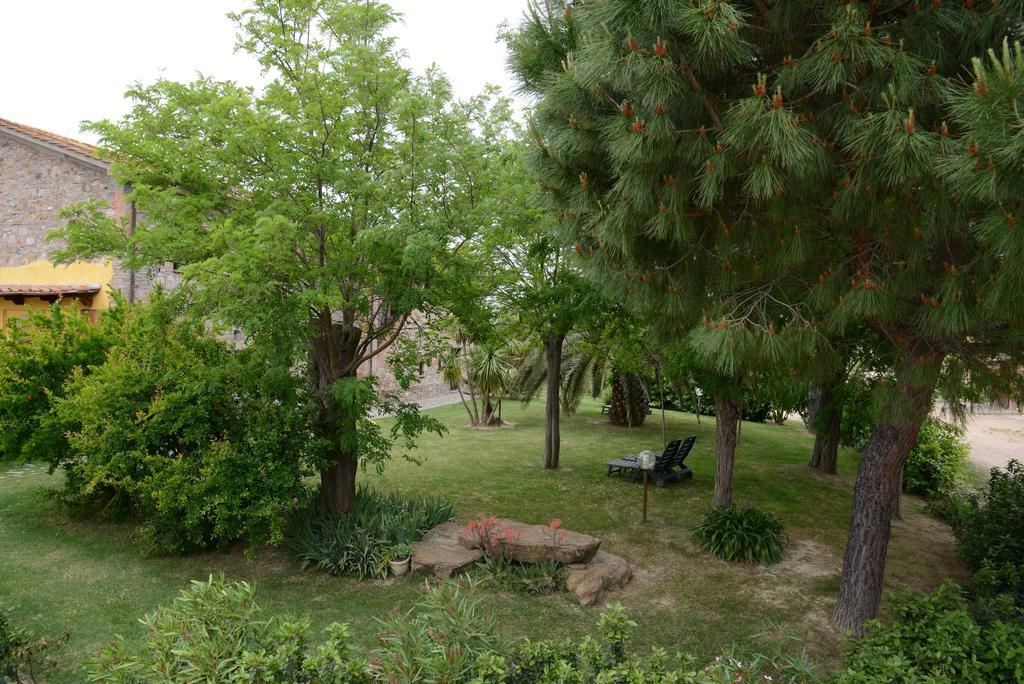 Agriturismo Volta Di Sacco Grosseto Exterior foto