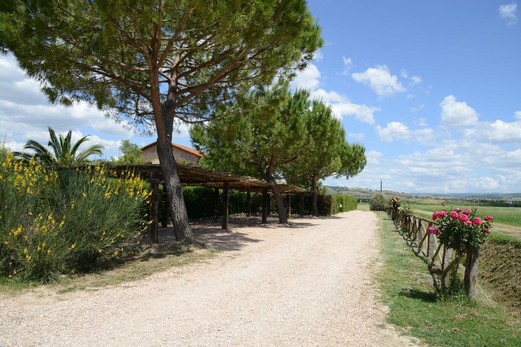Agriturismo Volta Di Sacco Grosseto Exterior foto